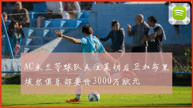AC米兰等球队关注莱切后卫加布里埃尔俱乐部要价3000万欧元